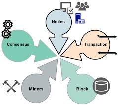Blockchain forensics tracing stolen bitcoin