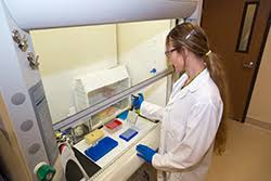 Jane Smith - Head of Crypto Investigations